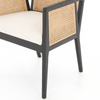 Albano Dining Arm Chair