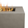 Alda 50" Rectangular Lp Fire Table with Ng Conversion Kit